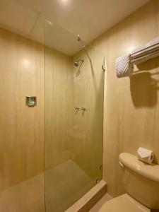 Punto FijoHotel Las Palmas Inn的浴室设有玻璃淋浴间和卫生间