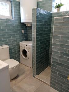 BadacsonyBalcsiHáz Badacsony的浴室设有洗衣机、卫生间和绿色瓷砖。