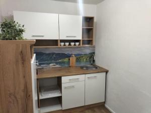 梅明根Ferienwohnung Luitpold 1的厨房配有白色橱柜和水槽