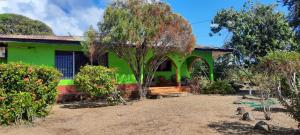 玉米岛Hospedaje Tropical Dreams的前面有院子的绿色房子