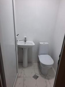 卡兹贝吉Tiny House Kazbegi的白色的浴室设有卫生间和水槽。