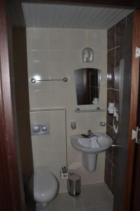 凯麦尔呃卡尔度假酒店的一间带水槽和卫生间的小浴室