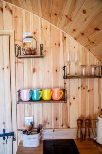 HooeBarnhorn Glamping的厨房设有木墙和书架,配有杯子和餐具