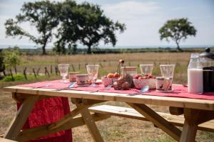 HooeBarnhorn Glamping的野餐桌,上面放有水果和酒杯