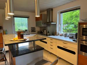 湖滨福煦Haus Berger的一个带台面和水槽的大厨房