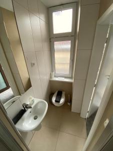 布拉格洛伦兹咖啡家庭酒店的一间带水槽的浴室和一个带窗户的卫生间