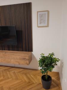 伊钦Nový apartman Eva的一间配有电视和盆栽植物的客厅
