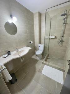 锡比乌盐矿镇Pensiune Restaurant Indus的浴室配有卫生间、盥洗盆和淋浴。