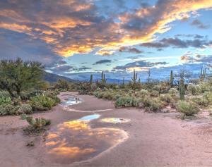 汤姆斯通Silver Spur Homestead Luxury Glamping -The Tombstone的一片沙漠,一片水堆,一片云天