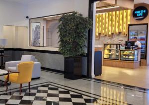 巴西利亚曼哈顿广场酒店的一间商店的大厅,里面装有盆栽植物