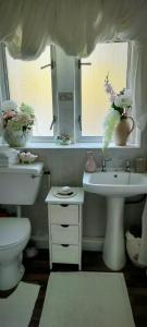 奥勒顿Cuisinease的一间带卫生间、水槽和镜子的浴室
