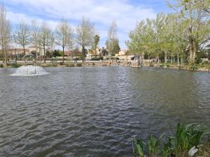 BompasAppartement plein pied climatisé dans maison catalane的公园里一个带喷泉的池塘