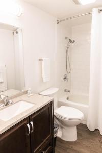 Delta JunctionAlaska Frontier Inn的浴室配有卫生间、盥洗盆和浴缸。