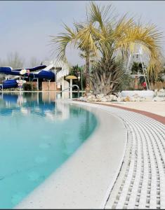 瓦尔拉普拉日Dream holidays的一座拥有蓝色海水和棕榈树的游泳池