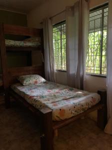 莱蒂西亚Nomada Hostel的一间带两张双层床的卧室和两个窗户