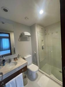 圣保罗SUÍTE KING EM HOTEL NA AVENIDA IBIRAPUERA的带淋浴、卫生间和盥洗盆的浴室