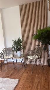 BiałlaAgro na Wapniarni的两把椅子和一张桌子,里面装有植物