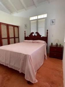 拉斯加勒拉斯Casa yaan的一间卧室配有一张带粉色毯子的大床