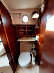 艾克斯莱班Voilier Sunbeam Yachts 27,5 à quai au Grand Port Aix les Bains的一间带卫生间和镜子的小浴室