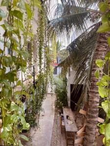 普拉亚卡门Anana Coliving的一个带桌子和棕榈树的温室