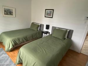 Saint-AntoninMaison d edouard的配有绿床单的客房内的两张床