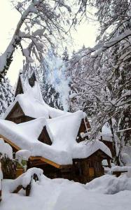 Podrašnica泽林科瓦假日公园酒店的树旁的雪屋