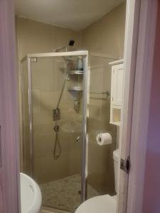 黎明城Tiny Efficiency All-In-1的带淋浴、卫生间和盥洗盆的浴室