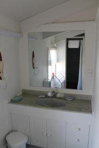 RaweneBrockies B n B的一间带水槽和镜子的浴室