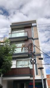 苏克雷City Center 3-rooms apartment Downtown Sucre的电杆上装有植物的建筑物