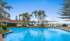 科夫斯港猫头鹰航海酒店的棕榈树度假村内的游泳池