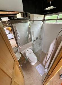 里韦拉Comfortable glamping loft with pool and vineyards的一间带卫生间和玻璃淋浴间的浴室
