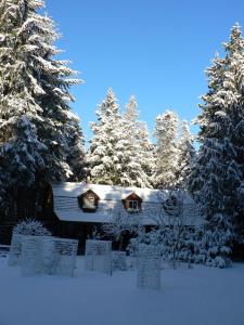 帕克斯维尔雪松之歌住宿加早餐旅馆的相册照片