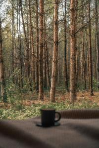 Skrwilnow lesie的坐在森林前桌边的咖啡杯