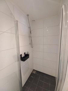 Rilland-BathMariahoeve的浴室里设有玻璃门淋浴