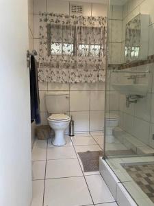 克卢夫Comfrey cottage的浴室配有卫生间、盥洗盆和淋浴。