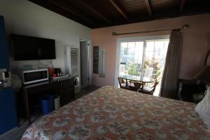 圣克鲁兹厄齐沃特海滩套房酒店的一间卧室配有一张床、一台电视和一个窗口