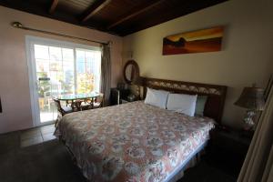 圣克鲁兹厄齐沃特海滩套房酒店的一间卧室设有一张床、一个窗口和一张桌子