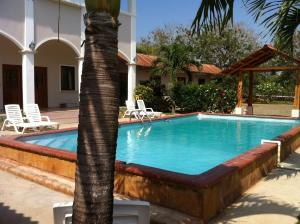 佩达西镇Pedasi Sports Club的一座房子旁的游泳池,里面种着棕榈树