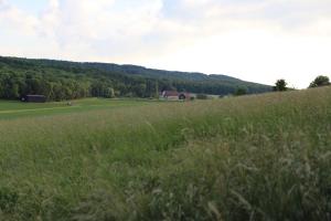 DiekholzenLandhaus "Am Sonnenberg"的远处有一片草场,有房子