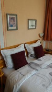 科普里夫什迪察博尔雅卡旅馆的一张位于酒店客房的床铺,配有两个枕头