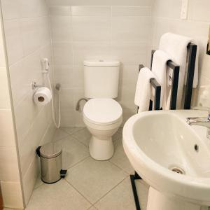 阿鲁沙Heart of Africa Lodge的白色的浴室设有卫生间和水槽。