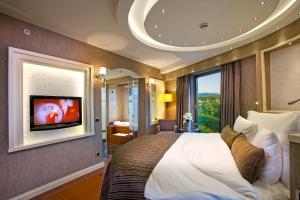 伊斯坦布尔利马克欧亚豪华酒店的卧室配有一张大床,墙上配有电视