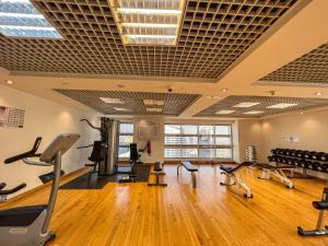 迪拜Cosmos Living Luxurious Studio Near Metro的健身房,配有跑步机和健身器材