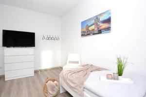 佩格尼茨河畔劳夫NUE10-FW Apartment in Lauf a.d. Pegnitz的白色的房间,设有床铺和墙上的电视