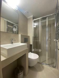 塞萨洛尼基Toumba apartments的一间带水槽、卫生间和淋浴的浴室