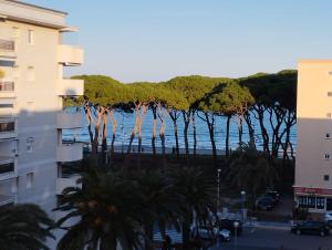 拉皮内达SEAFRONT APARTMENT PINEDA BEACH的从大楼里欣赏水景