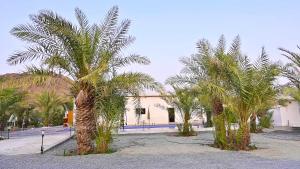 富查伊拉The Palm Estate的一群棕榈树在一座建筑前
