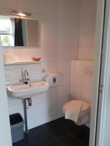 AaldenHet Wapen van Aelden的白色的浴室设有水槽和卫生间。
