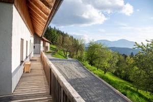 斯洛文尼亚格拉代茨Villa Richterberg with Sauna & Hot Tub的山景阳台