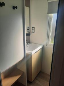 纳博讷Charmant mobil-home 178的浴室设有白色水槽和镜子